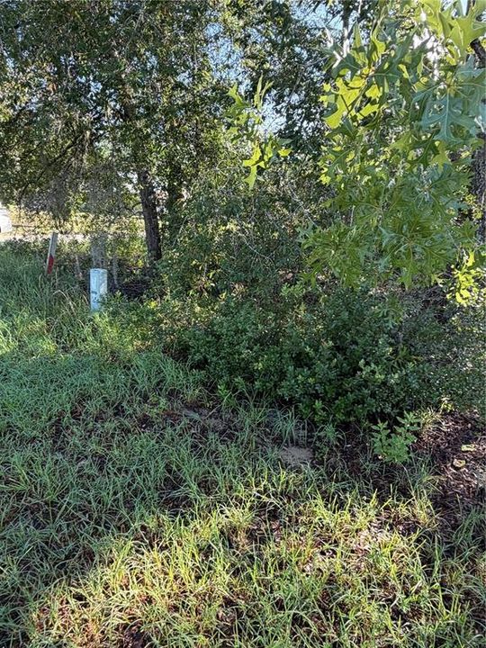 待售: $10,000 (0.19 acres)