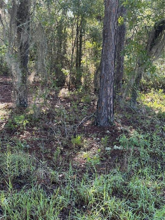 На продажу: $10,000 (0.19 acres)