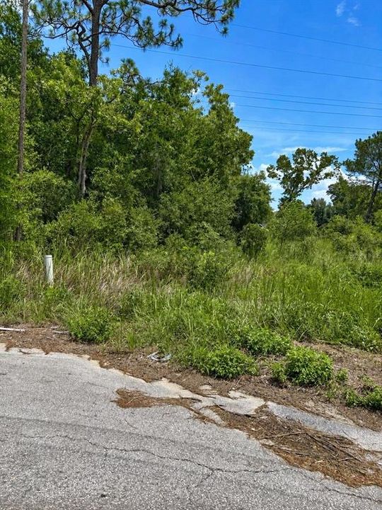 En Venta: $40,000 (0.50 acres)