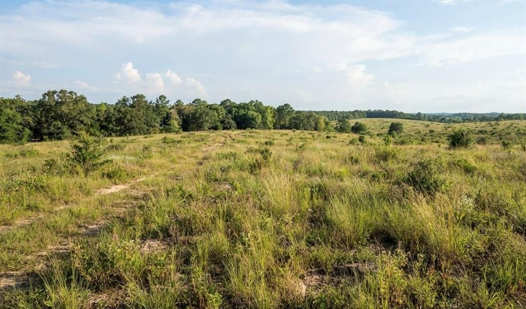 For Sale: $1,500,000 (10.39 acres)
