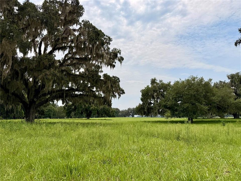 For Sale: $269,000 (4.25 acres)