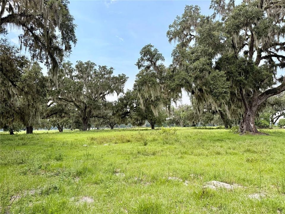 For Sale: $269,000 (4.25 acres)