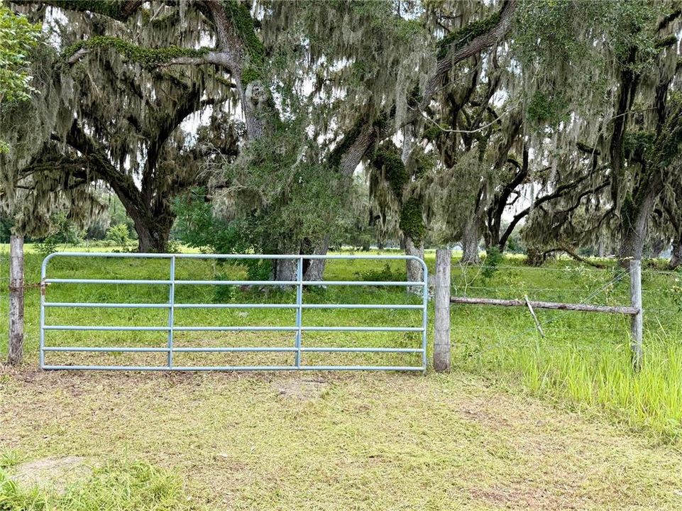 For Sale: $269,000 (4.25 acres)