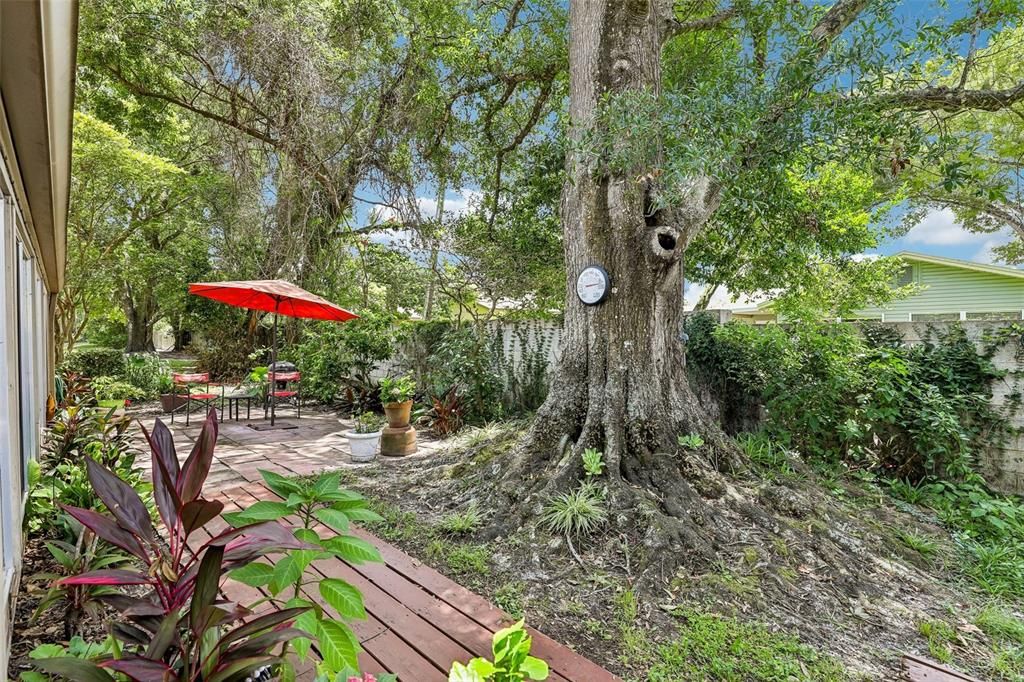 For Sale: $329,000 (3 beds, 2 baths, 1817 Square Feet)