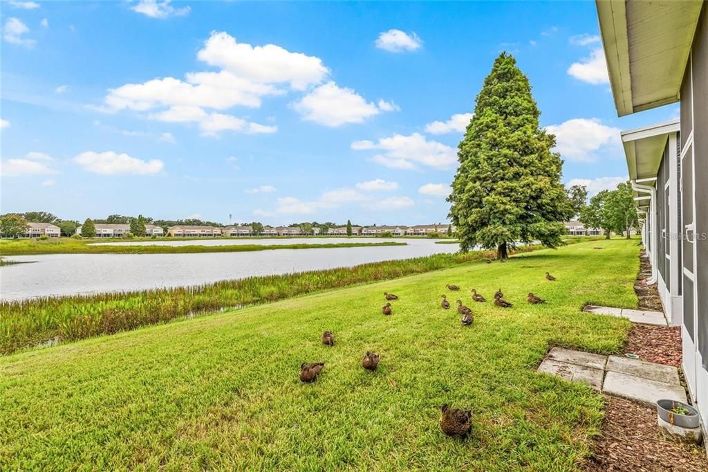 For Sale: $299,900 (3 beds, 2 baths, 1644 Square Feet)