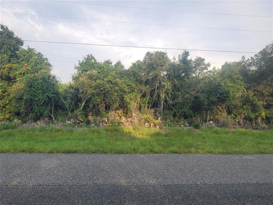 For Sale: $49,875 (0.23 acres)