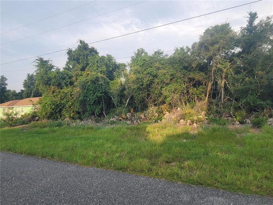 For Sale: $49,875 (0.23 acres)