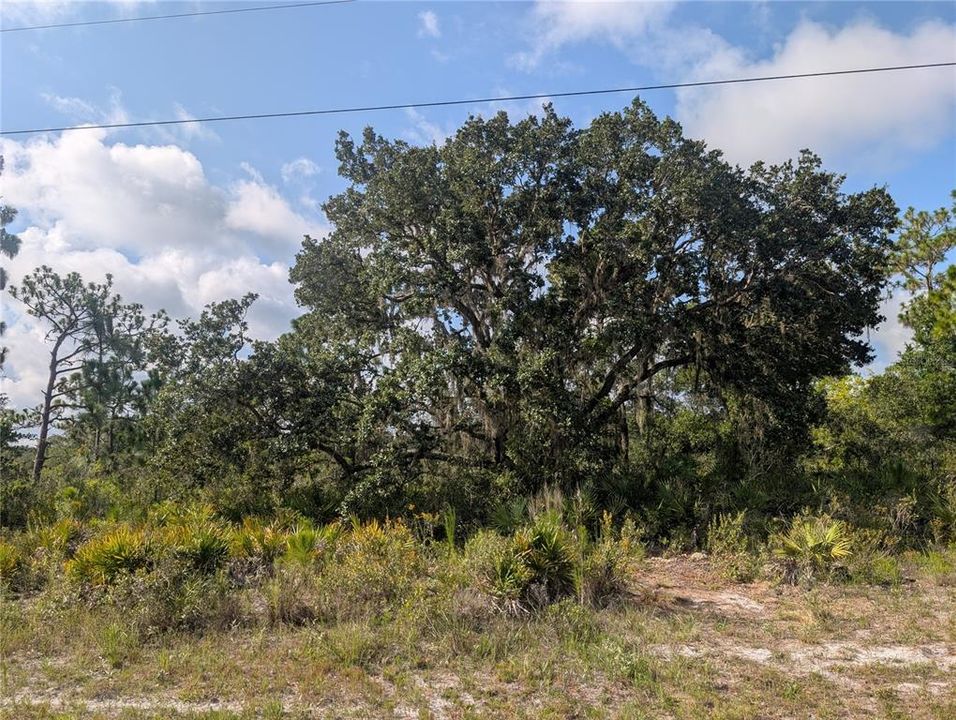 На продажу: $16,900 (0.50 acres)