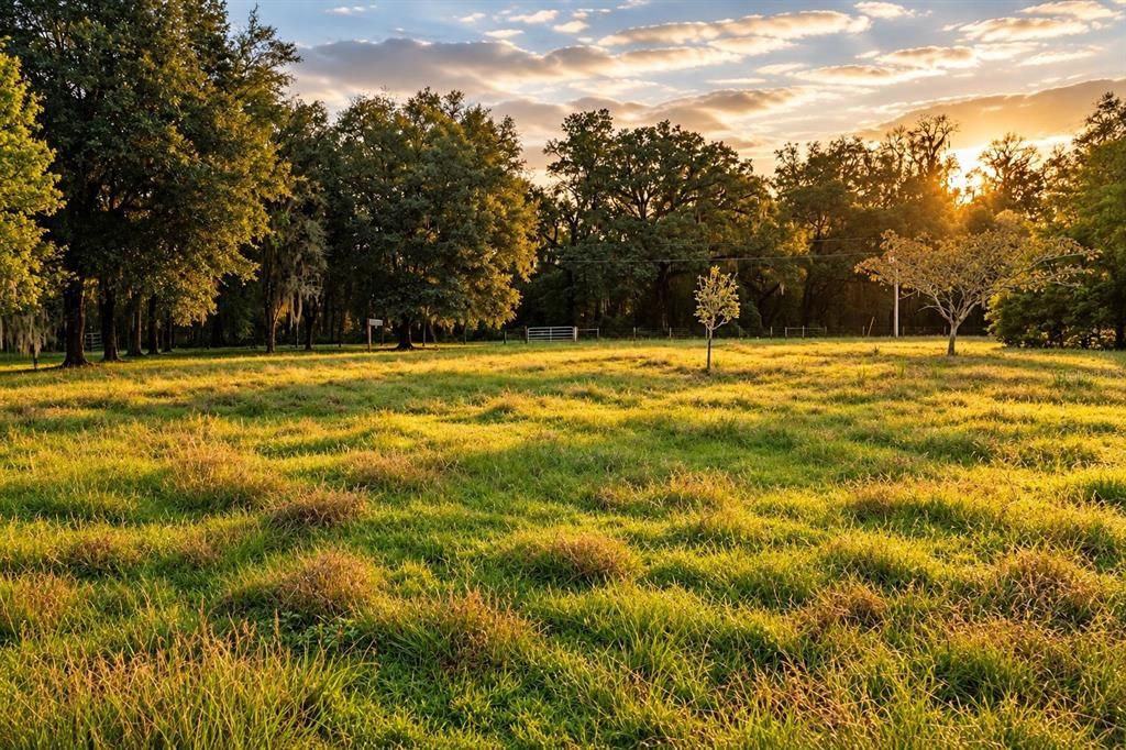 For Sale: $574,000 (3 beds, 2 baths, 1918 Square Feet)