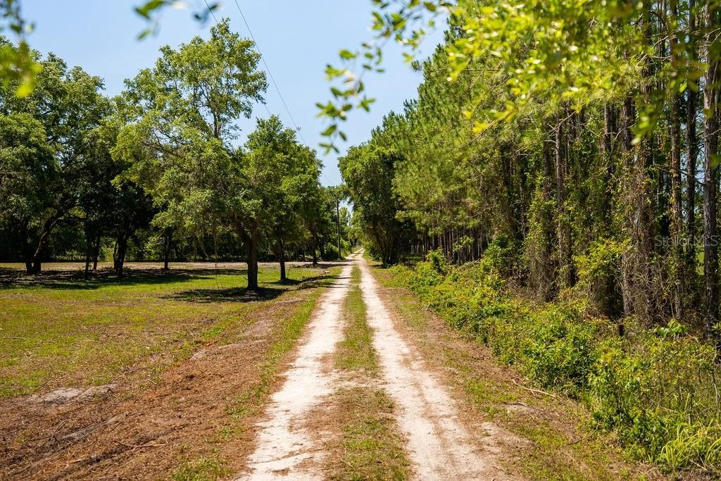 For Sale: $330,000 (5.01 acres)