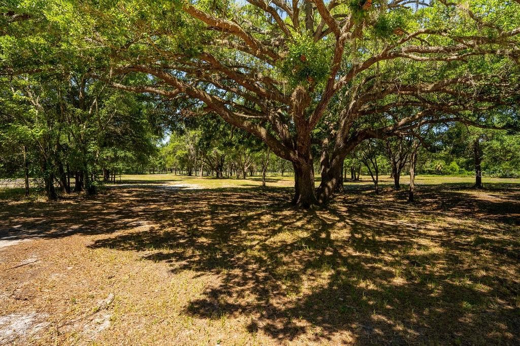 For Sale: $330,000 (5.01 acres)