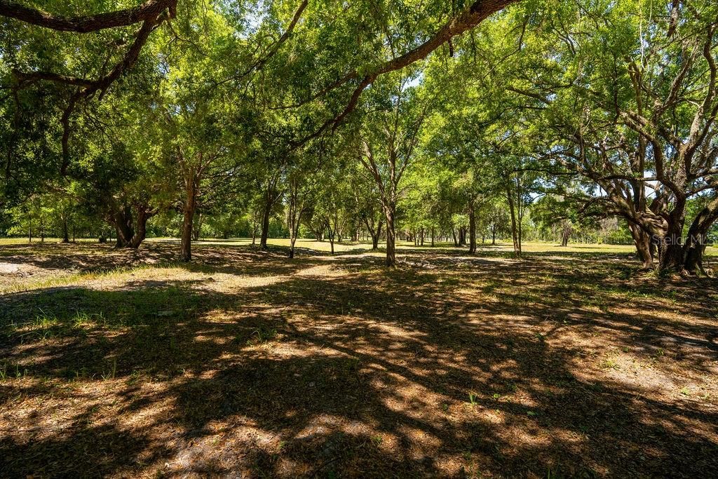 For Sale: $330,000 (5.01 acres)