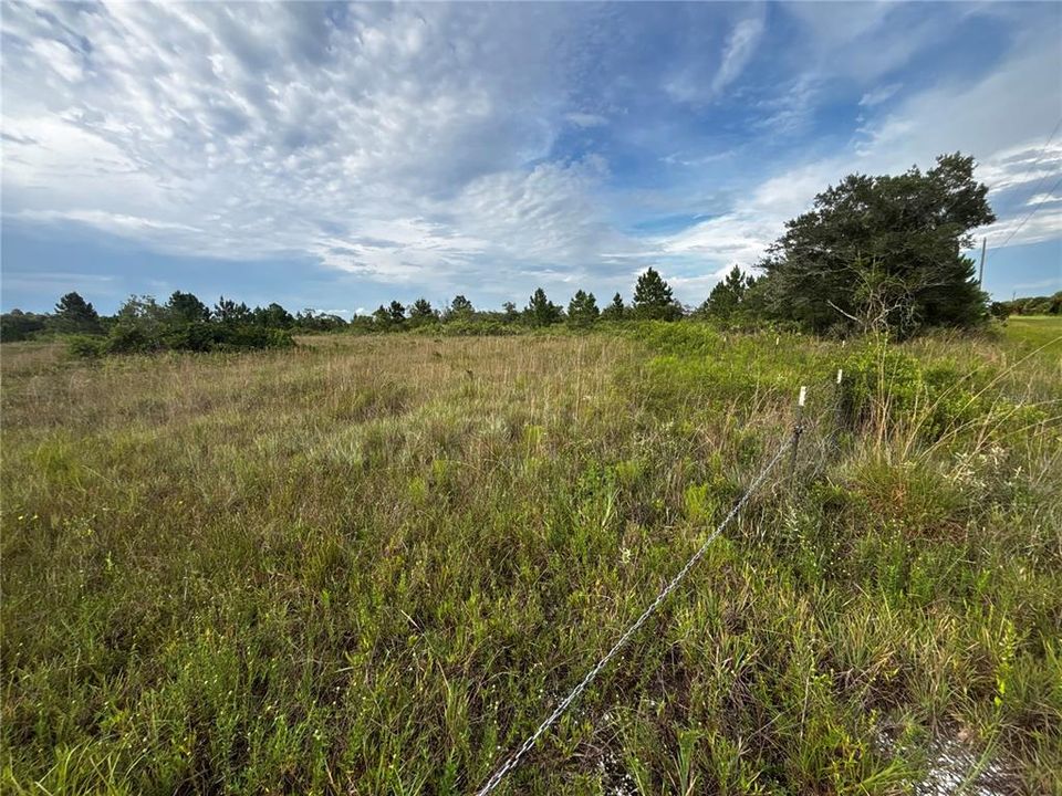 待售: $31,490 (1.25 acres)