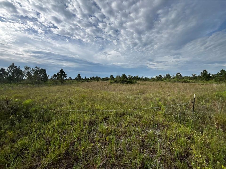 待售: $31,490 (1.25 acres)