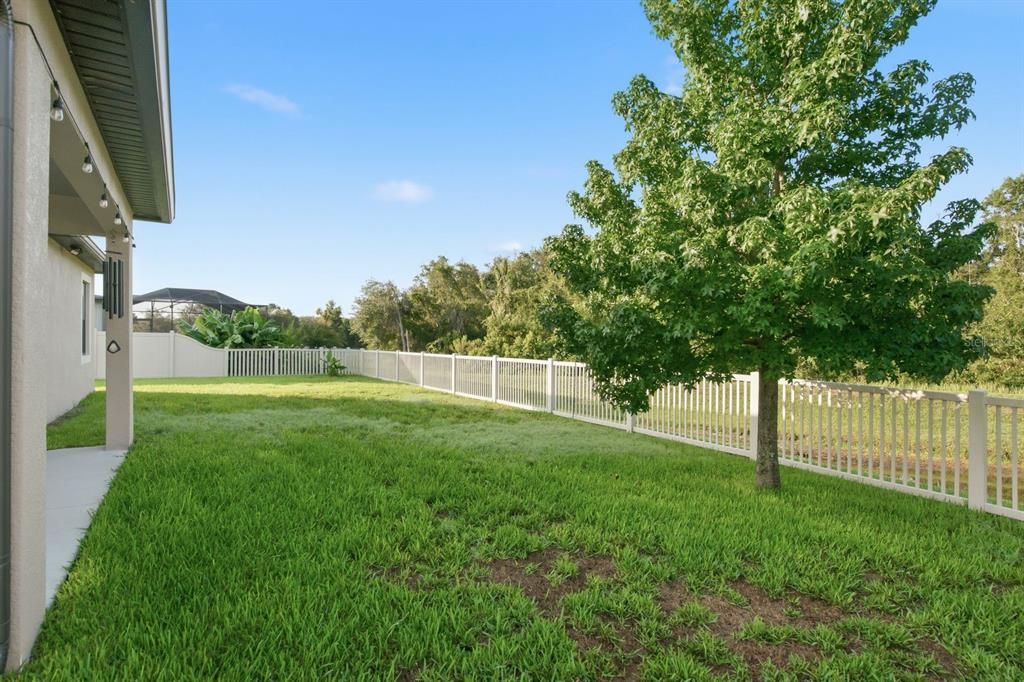 На продажу: $439,000 (3 спален, 2 ванн, 2096 Квадратных фут)