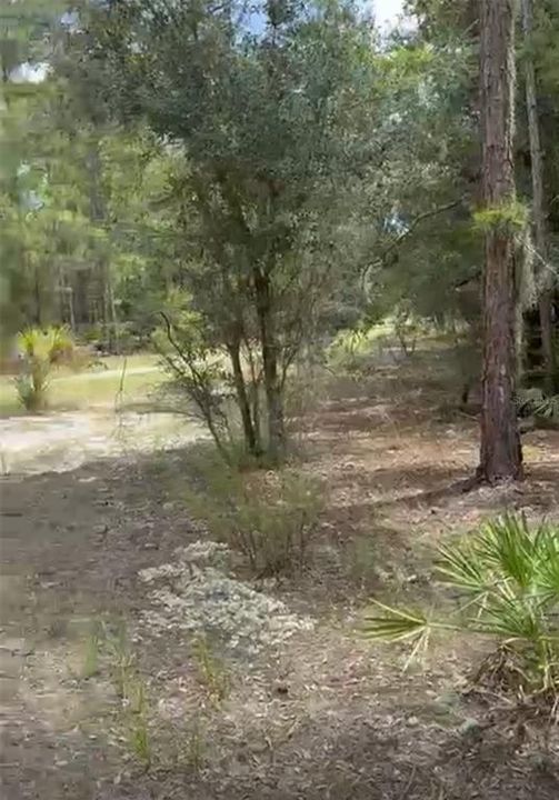 На продажу: $15,000 (0.50 acres)
