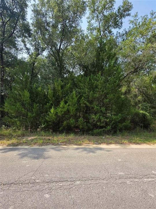 待售: $29,000 (0.23 acres)