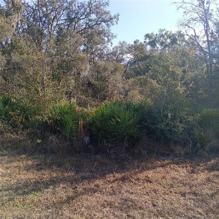 待售: $11,000 (0.35 acres)