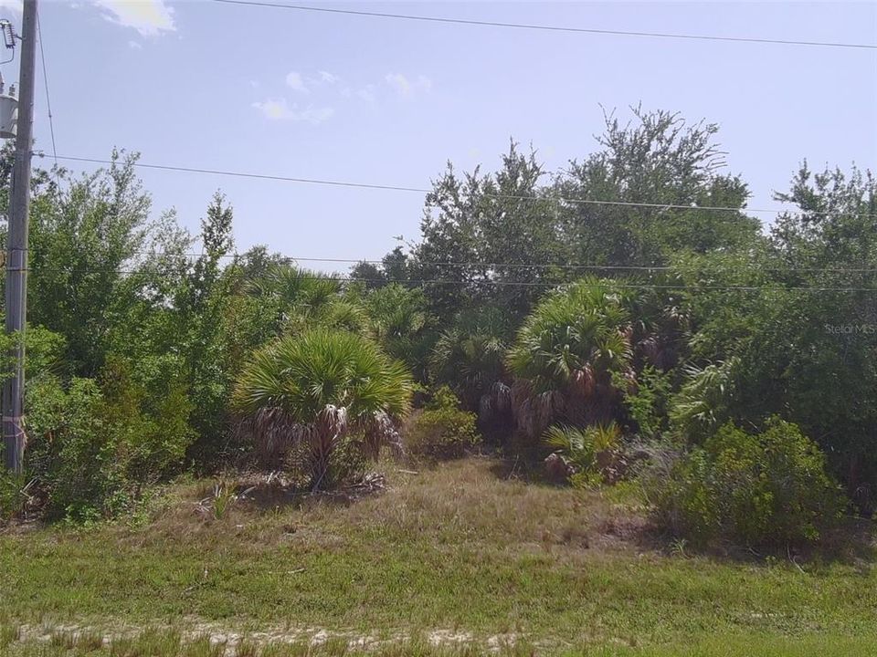 На продажу: $33,900 (0.25 acres)