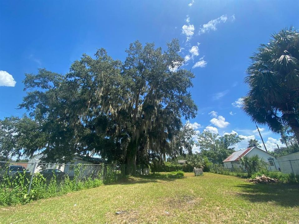For Sale: $49,999 (0.14 acres)