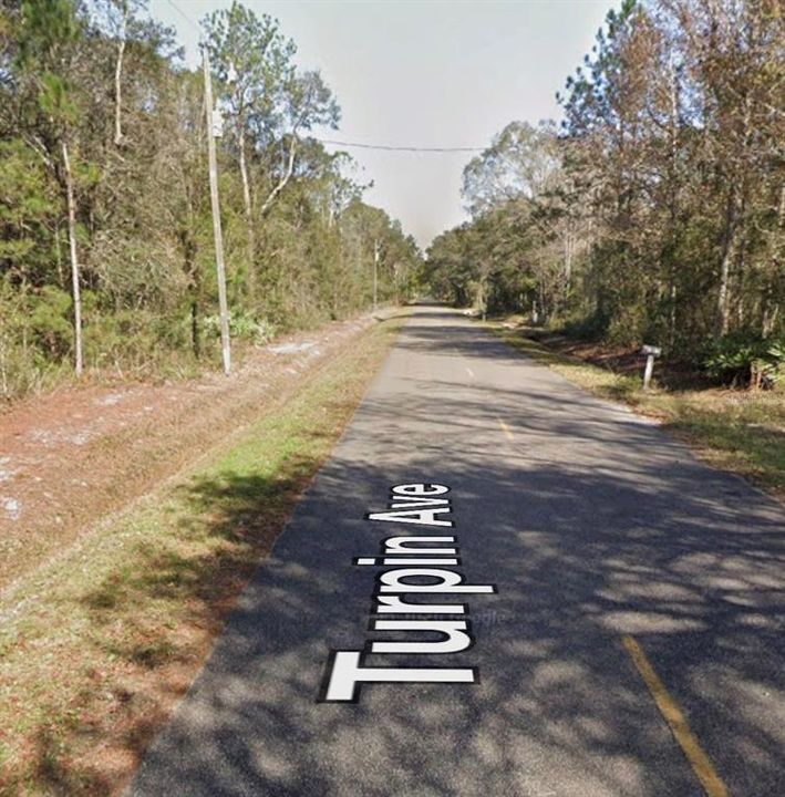 待售: $23,500 (1.13 acres)