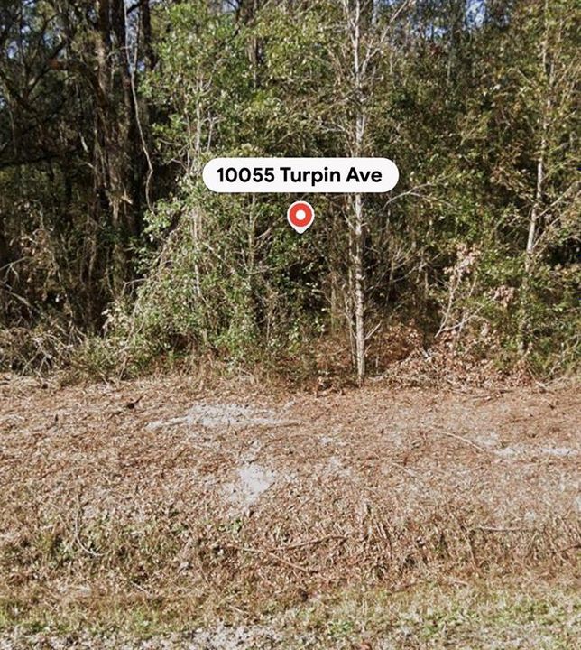 待售: $23,500 (1.13 acres)