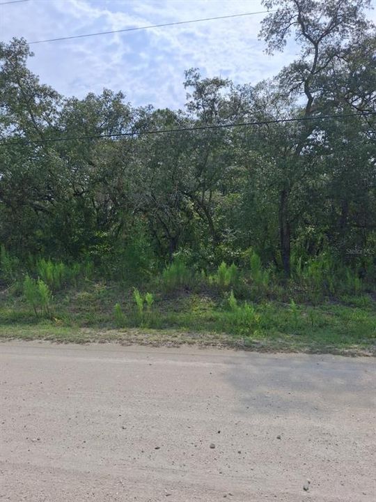 En Venta: $37,900 (0.52 acres)