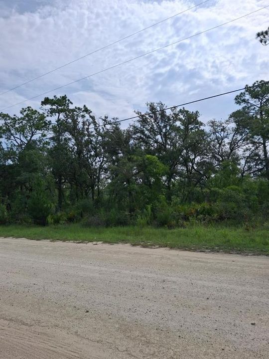待售: $37,900 (0.52 acres)
