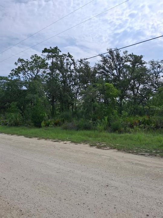 待售: $37,900 (0.52 acres)