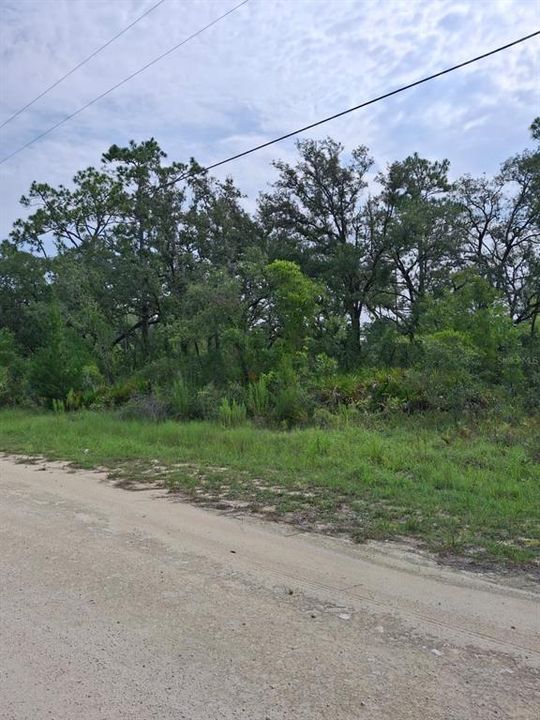 待售: $37,900 (0.52 acres)