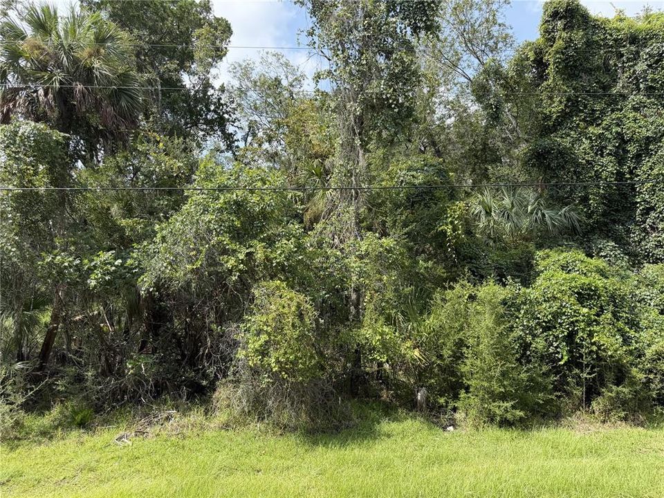 На продажу: $40,000 (0.47 acres)