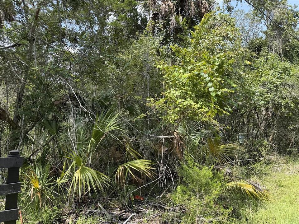 На продажу: $40,000 (0.47 acres)