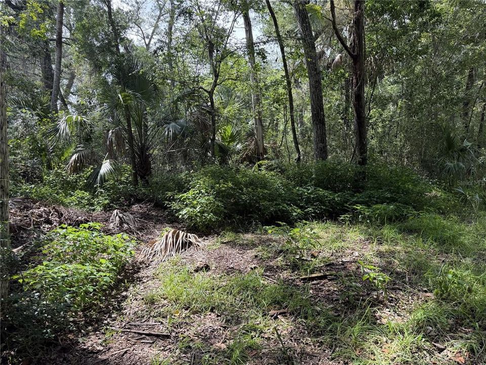 На продажу: $40,000 (0.47 acres)