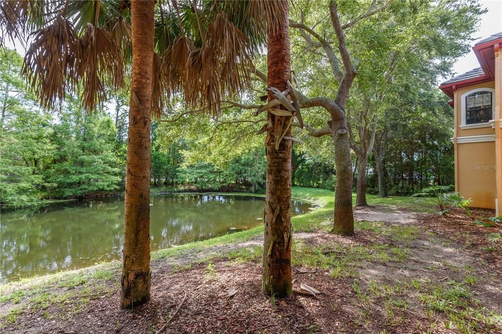 For Rent: $1,500 (1 beds, 1 baths, 750 Square Feet)