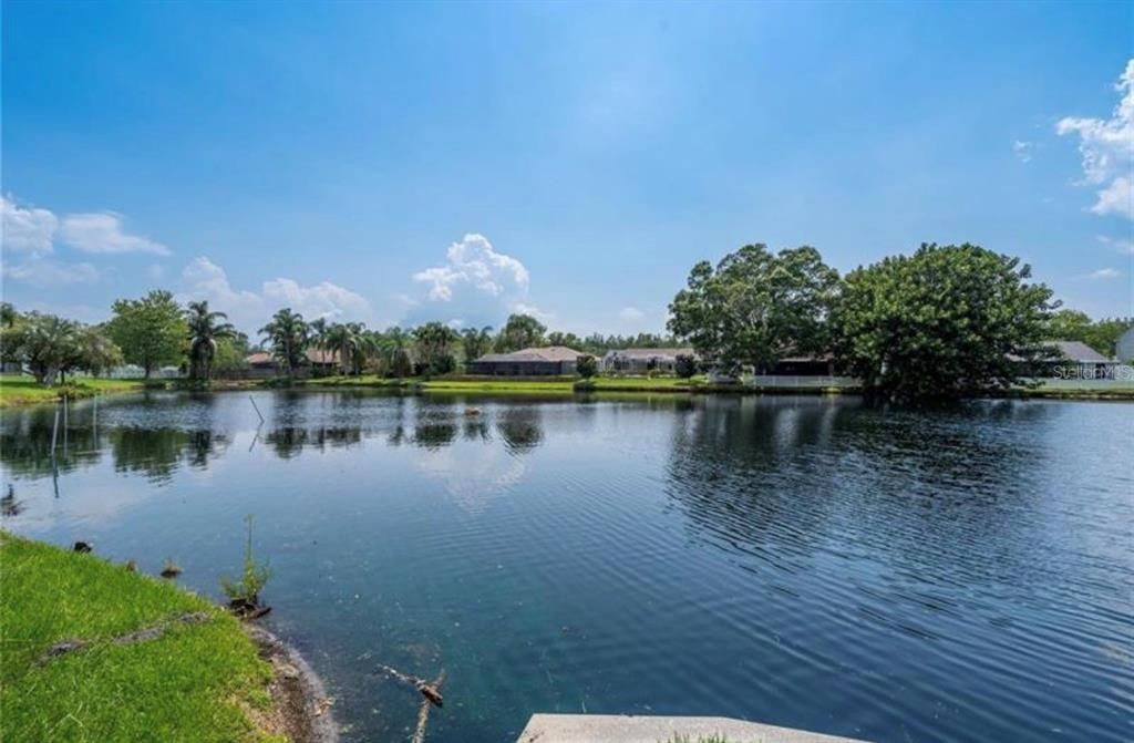 For Rent: $3,190 (4 beds, 2 baths, 1950 Square Feet)