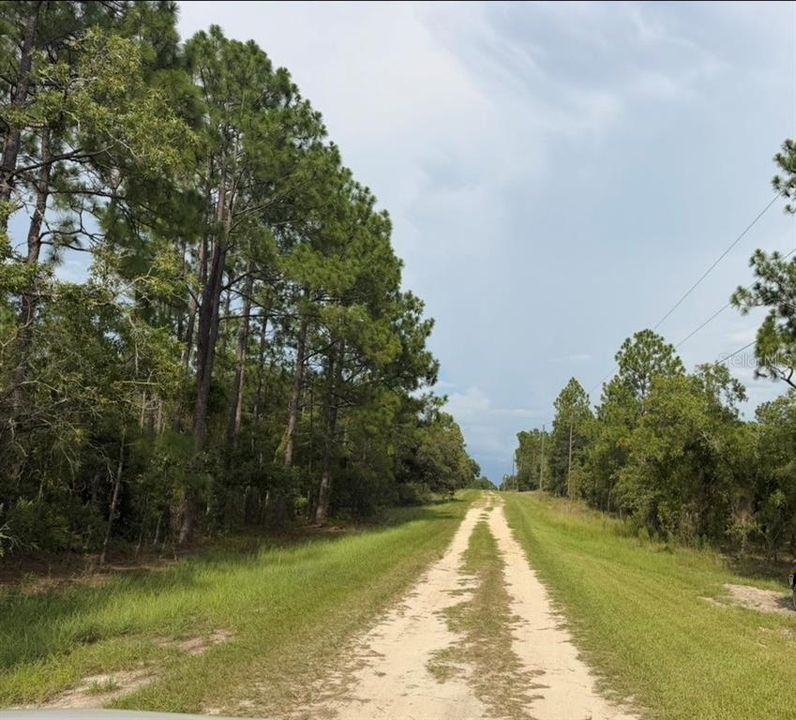 На продажу: $65,900 (1.16 acres)