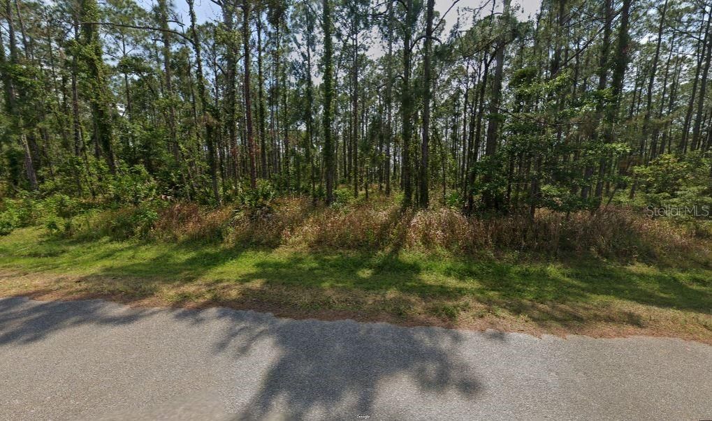 待售: $2,999 (0.23 acres)