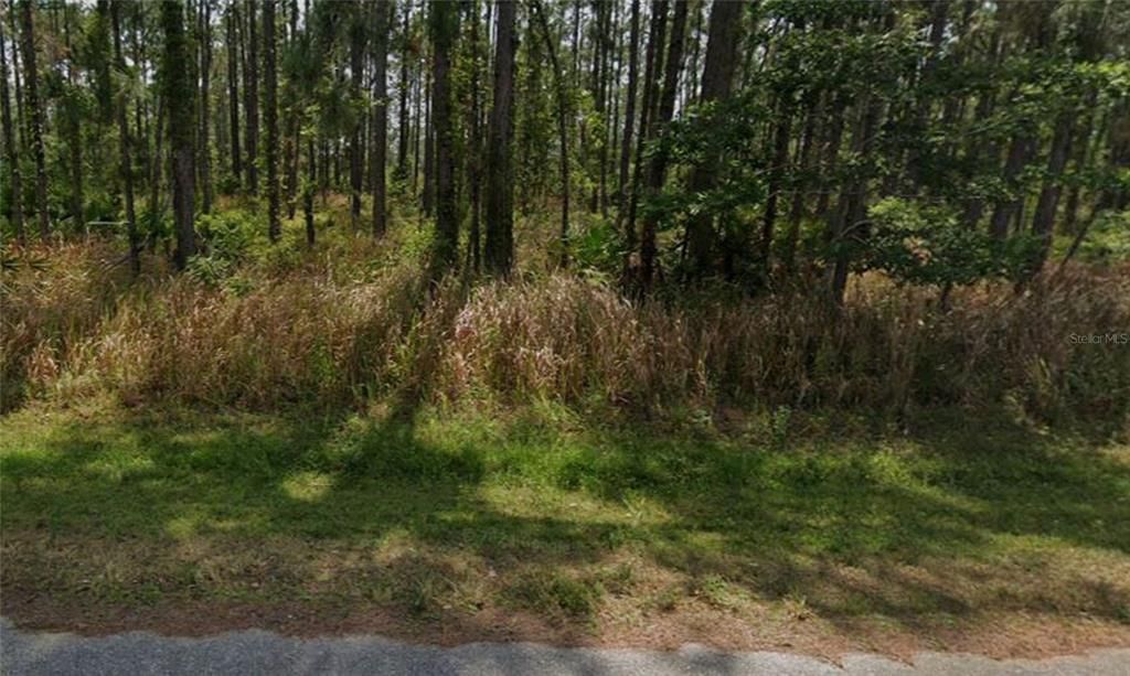 待售: $2,999 (0.23 acres)