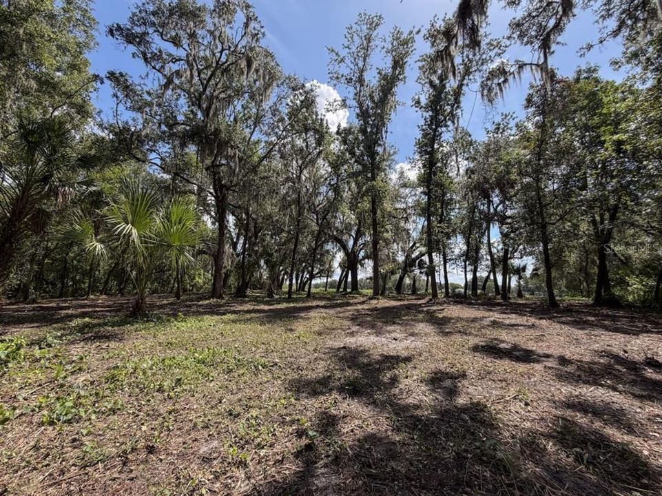 На продажу: $385,000 (3.26 acres)
