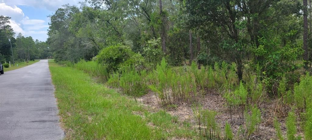 For Sale: $22,000 (0.25 acres)