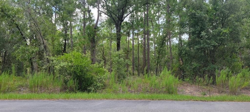 For Sale: $22,000 (0.25 acres)