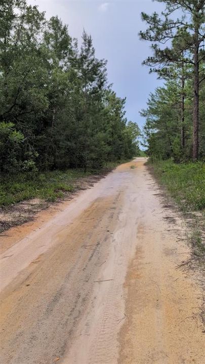 En Venta: $12,500 (0.22 acres)