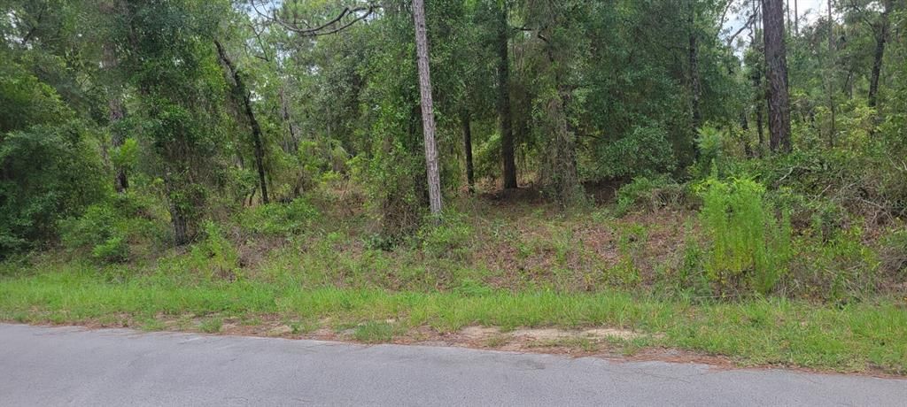 待售: $22,000 (0.25 acres)