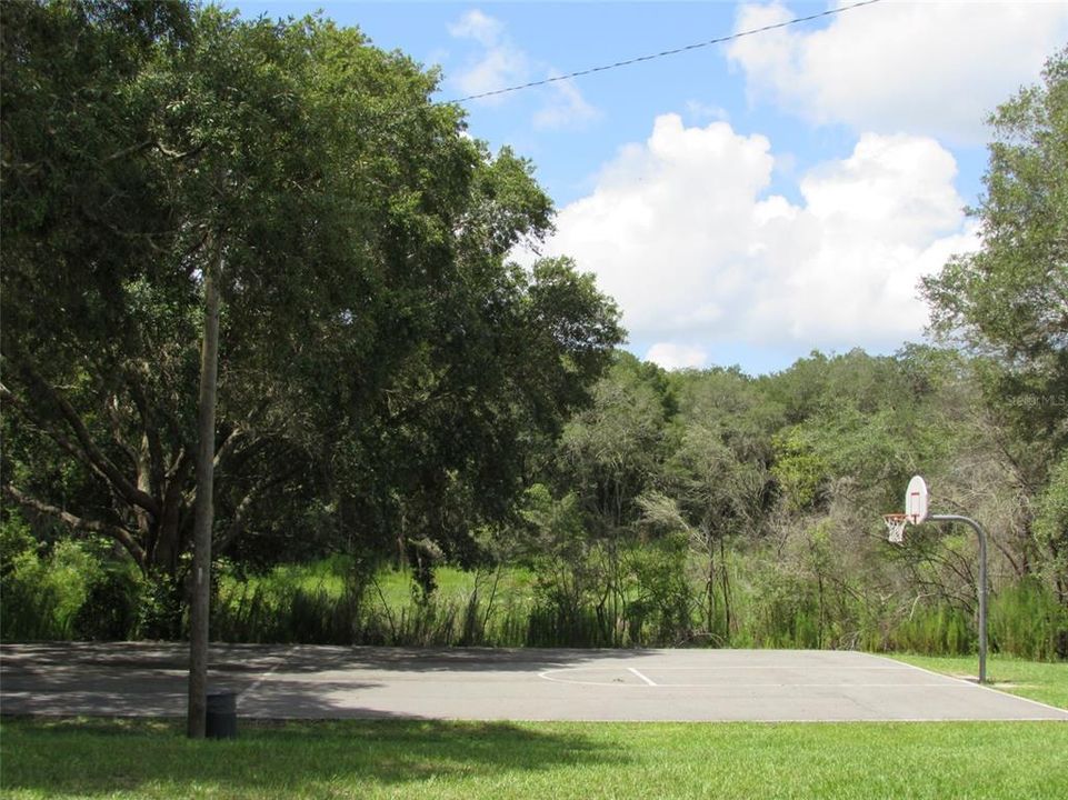 待售: $22,000 (0.25 acres)