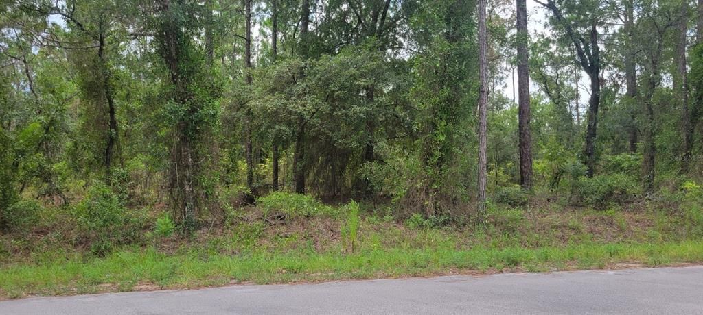 待售: $22,000 (0.25 acres)