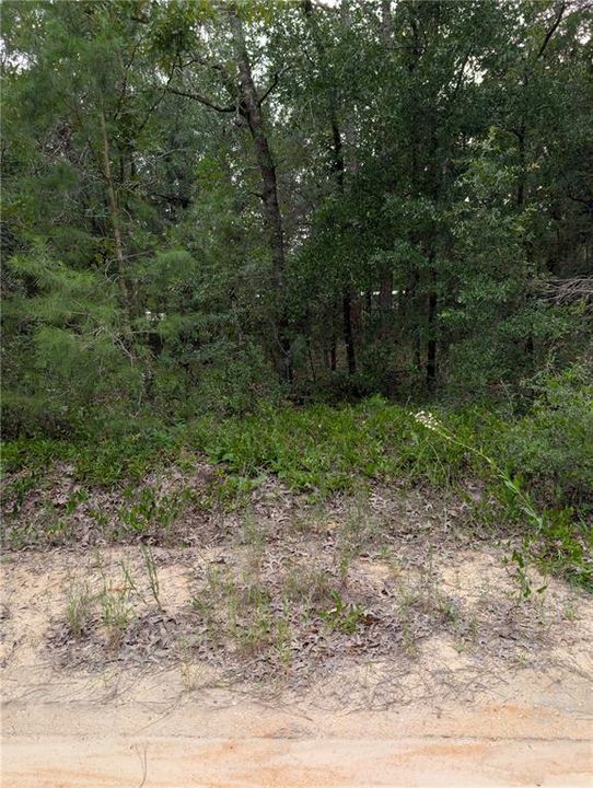 En Venta: $11,500 (0.20 acres)