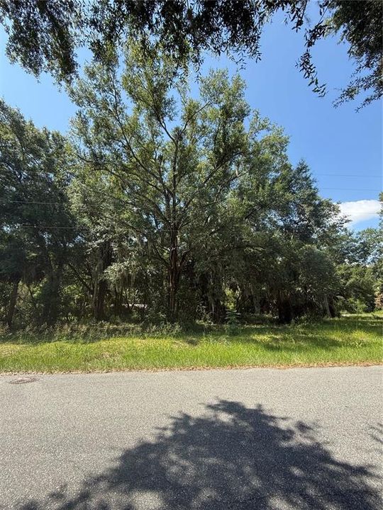 На продажу: $69,000 (0.46 acres)