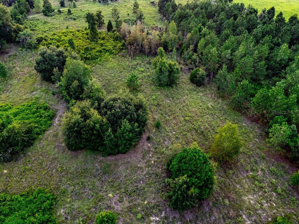 En Venta: $384,000 (11.60 acres)
