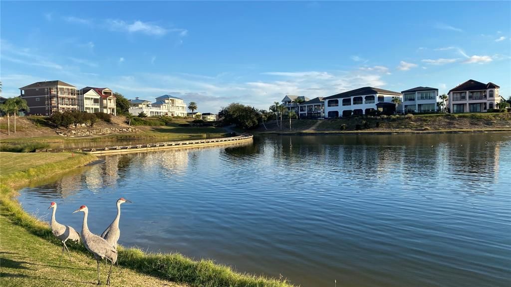 For Sale: $1,799,000 (0.39 acres)