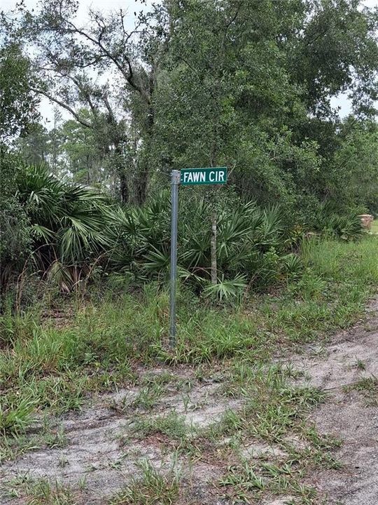 En Venta: $49,000 (0.23 acres)